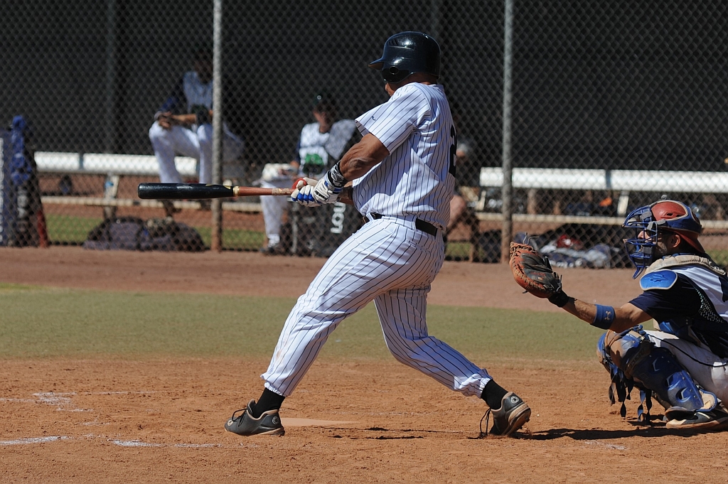 Seals_2019-10-11 (280).JPG - (c)2010 DeVetter